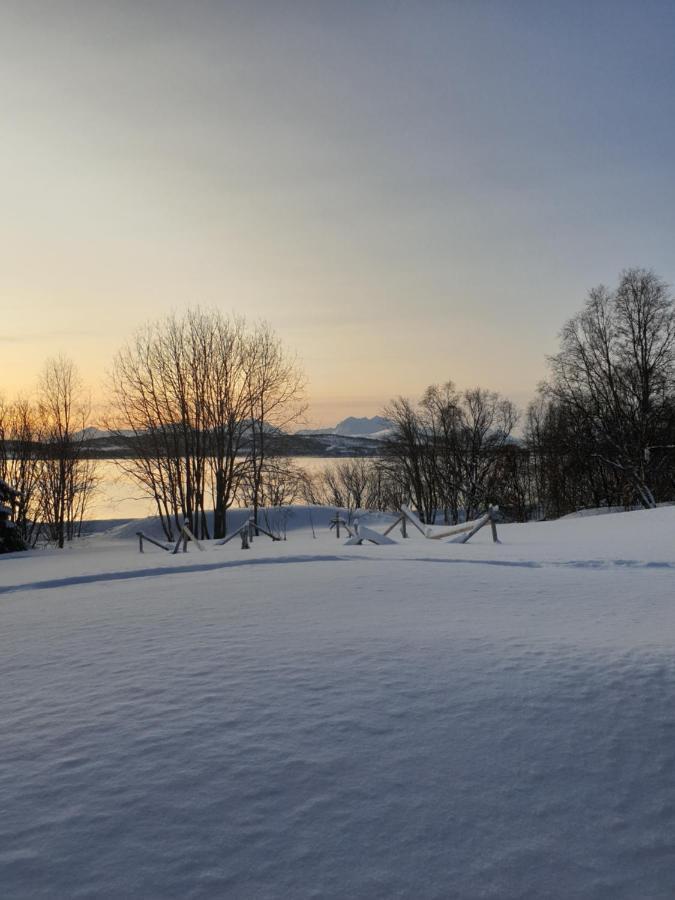 Strand Apartments Kvaløysletta Eksteriør bilde